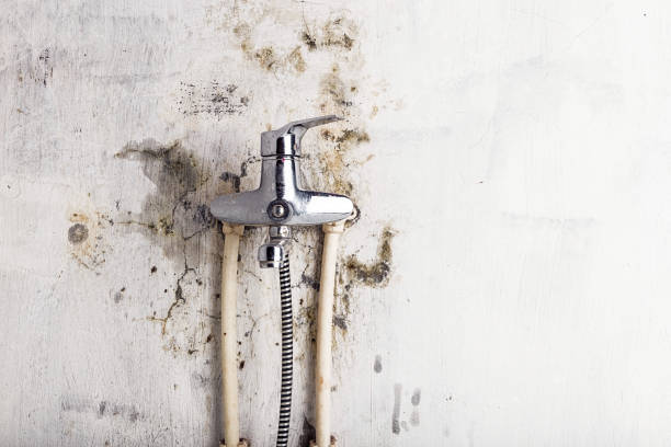 Best Mold Testing  in Frankton, IN