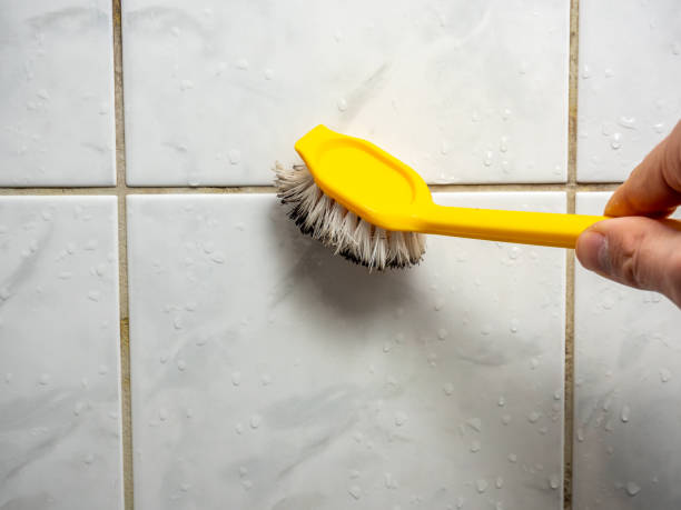 Best Emergency Mold Removal  in Frankton, IN