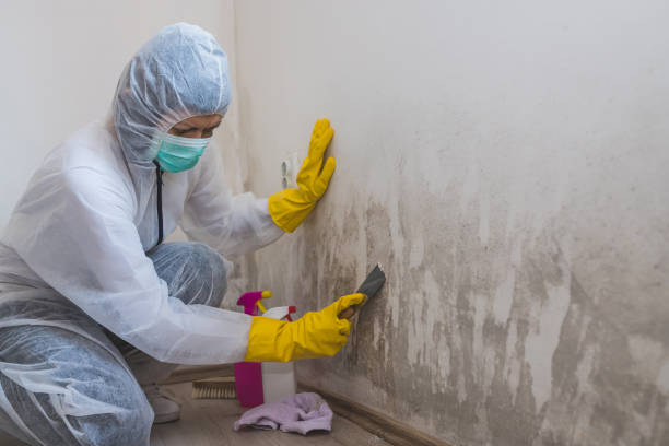 Best Mold Testing  in Frankton, IN