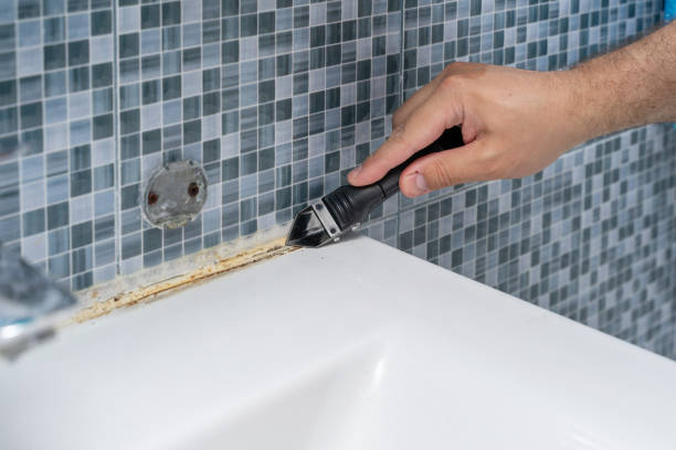 Best Professional Mold Removal  in Frankton, IN
